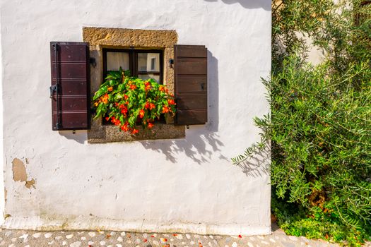 Window with brown wooden shutters on the rustic wall, window frame made of large stones, Mediterranean house with flowers and olive tree