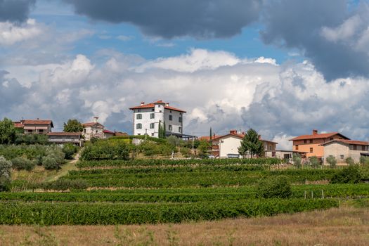 Village of Ceglo, also Zegla in famous Slovenian wine growing region of Goriska Brda, with vineyards and orchards, lit by sun, village on top of hill with villa Gredic and beautiful cloudscape in the sky