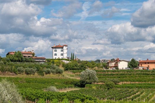 Olive trees and vineyards surround the Village of Ceglo, also Zegla in famous Slovenian wine growing region of Goriska Brda, village on top of hill with villa Gredic and beautiful, dramatic sky, cloudscape