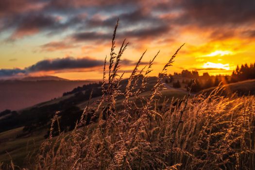 Color image of a golden sunset in the rural hills of northern California.