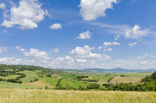 Scenic view of typical Tuscany landscape in Val D'Orcia: hills, meadows and green fields. Tuscany, Italy, Europe