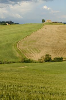 Scenic view of typical Tuscany landscape in Val D'Orcia: hills, meadows and green fields. Tuscany, Italy, Europe