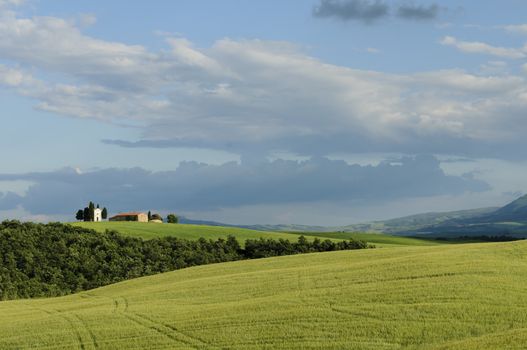 Scenic view of typical Tuscany landscape in Val D'Orcia: hills, meadows and green fields. Tuscany, Italy, Europe