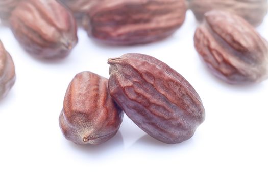 Jojoba (Simmondsia chinensis) leaves, seeds and oil on withe background