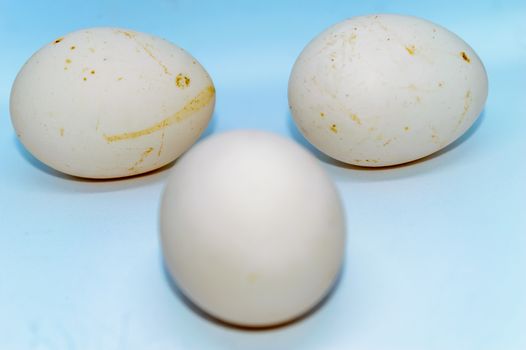 Three eggs isolated over a white background.