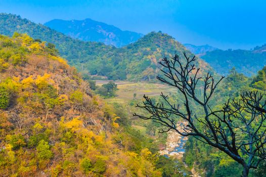 Silhouette tree in hill taken from top at daytime sunny day taken in landscape style Use background wallpaper screen saver e-cards website decorate interior Nature Travel Vacation Holiday Concept Subject is inspiration hopeful bright exciting calm gentle beautiful