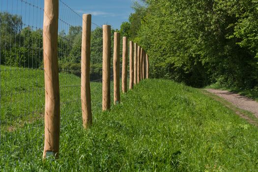 Fence of a pasture for horses or cows