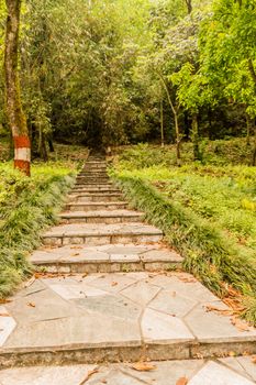 Photograph of Natural stone landscaping in home garden with stairs snapped in landscape wide screen style in daytime on a sunny day. Architecture exterior and interior designing concept.