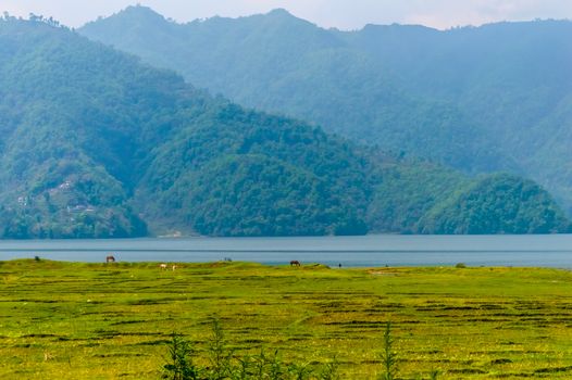 Photograph of winter season: A colourful lake, mountain, clear sky and farm land. Wide angle landscape of Pokhara Lake at Kathmandu Nepal. Vintage film look. Vacation Freedom, Simplicity Concept.