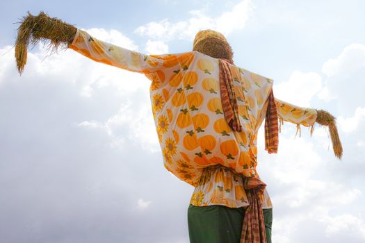 Scarecrow in Field