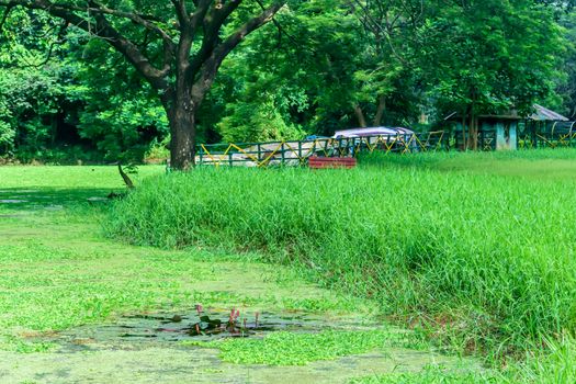 The house is surrounded by plants and trees. View on holiday cabin by a lake. Tiny house near the water. Vacation holiday concept. Goa India.