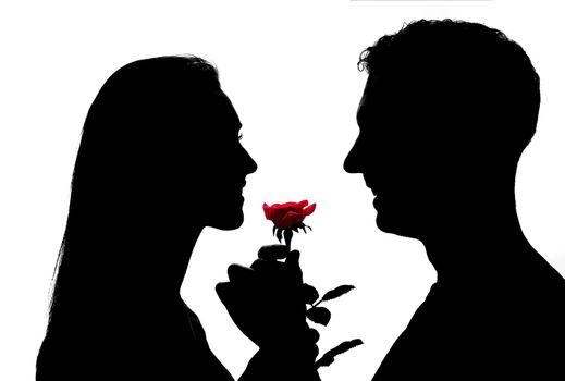 Silhouette of lovely couple. They are standing and holding red rose. 