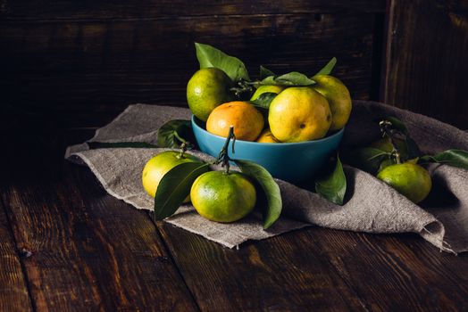 Yellow-green Tangerines with Leaves in Blue Bowl