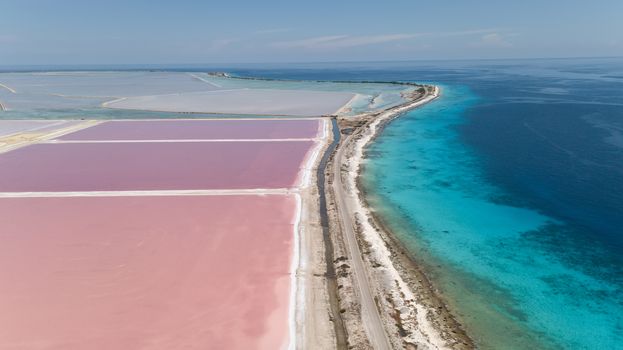 rose caribbean salt lake Bonaire island aerial drone top view