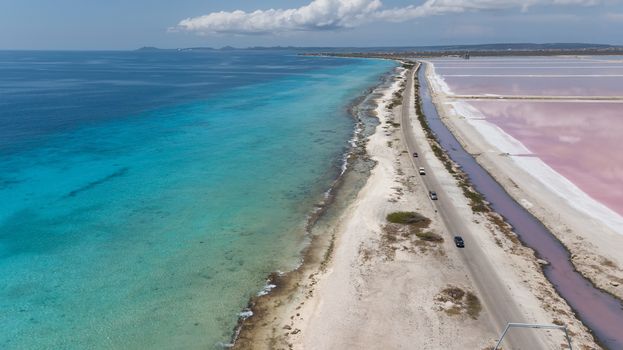 rose caribbean salt lake Bonaire island aerial drone top view