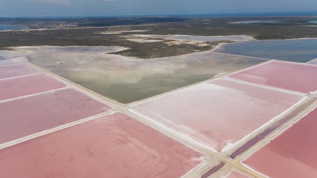 rose caribbean salt lake Bonaire island aerial drone top view