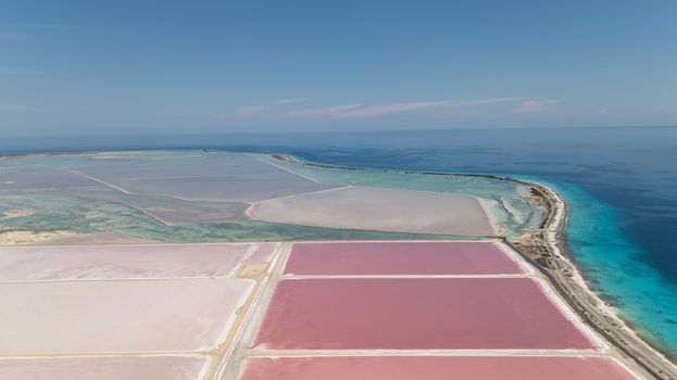 rose caribbean salt lake Bonaire island aerial drone top view