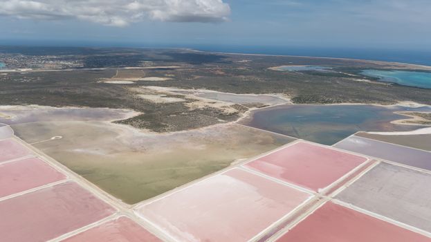 rose caribbean salt lake Bonaire island aerial drone top view