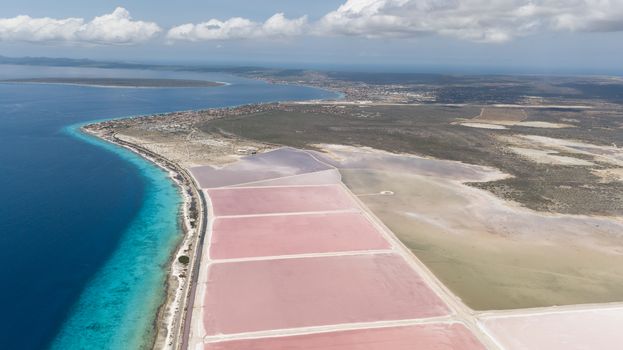 rose caribbean salt lake Bonaire island aerial drone top view