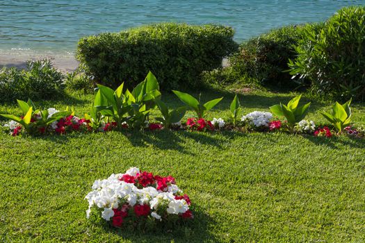 Lush flowerbeds in the summer garden. A bright sunny day. in the background the sea.