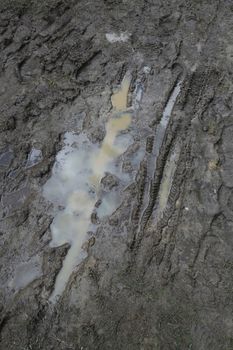 Mountain bike traces in the wet mud