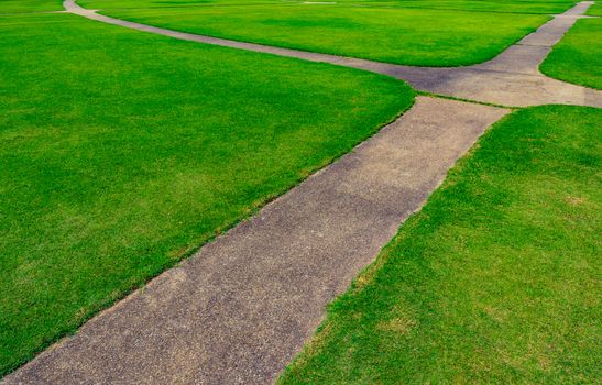 Green grass field with line pattern texture background and walkway