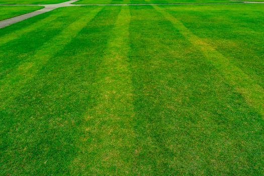 Green grass field with line pattern texture background and walkway. Natural green grass.