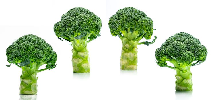 Set of green broccoli (Brassica oleracea). Vegetables natural source of betacarotene, vitamin c, vitamin k, fiber food, folate. Fresh broccoli cabbage isolated on white background.