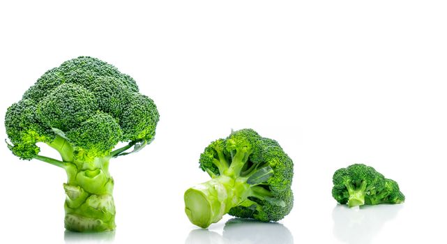 Set of green broccoli (Brassica oleracea). Vegetables natural source of betacarotene, vitamin c, vitamin k, fiber food, folate. Fresh broccoli cabbage isolated on white background.