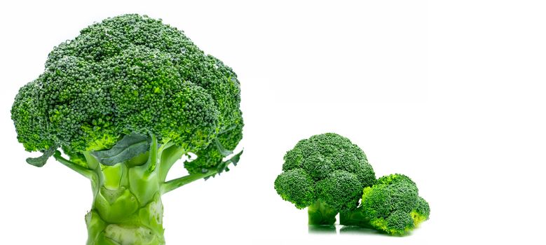 Set of green broccoli (Brassica oleracea). Vegetables natural source of betacarotene, vitamin c, vitamin k, fiber food, folate. Fresh broccoli cabbage isolated on white background.