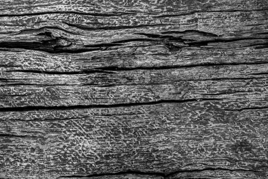 Black wood texture background with space for text