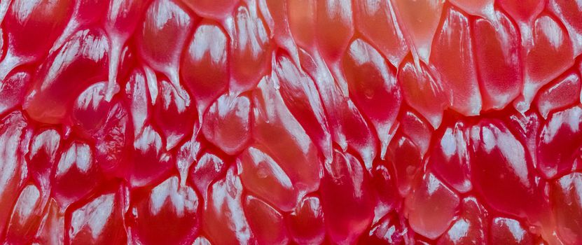 Macro shot of red pomelo pulp texture background. Thailand Siam ruby pomelo fruit. Natural source of vitamin C (antioxidants) and potassium. Healthy food for slow down aging