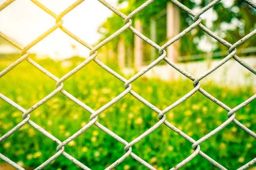 The fence mesh netting on blurred yellow flower field as the background with flare light. Green grass field.