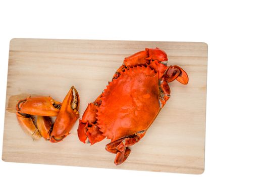 Top view of Scylla serrata. One steamed crab with two big claw separated on wood cutting board isolated on white background with copy space. Seafood restaurants concept.