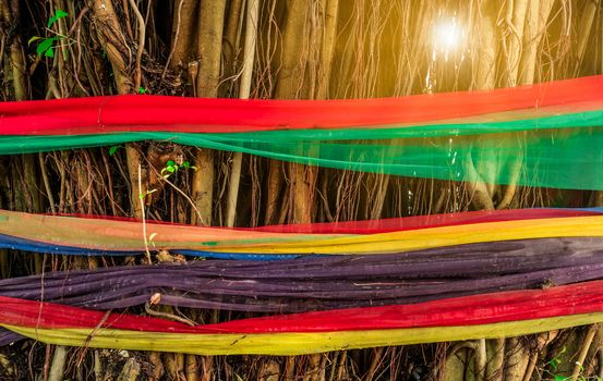 Five colors fabric wrap around the tree with flare light. The belief of Thai people. Ways to Protect the Environment. Protect trees from being cut.