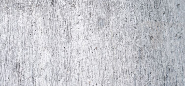 White and grey palm bark texture. Unique pattern abstract background.