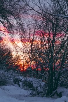 Colorful winter sunrise with purple and orange clouds