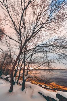 Cold winter snowy landscape at middle of the day