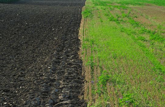 two types of arable land side by side, green on right, black on left