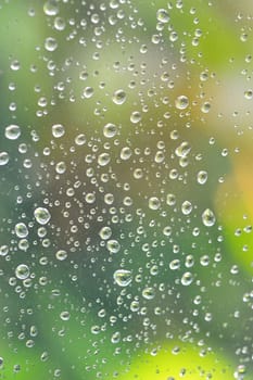 Water drops on window glass and nature background