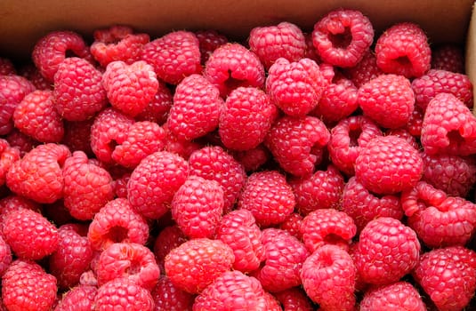 Fresh raspberries background closeup photo. Delicious Raspberries Texture