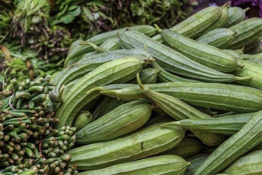 The close-up of towel gourd. Green vegetable at the farmer's local market Calcutta india.