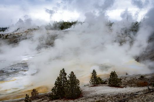 Norris Geyser Basin in Yellowstone National Park