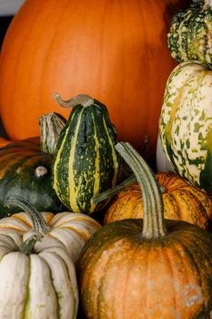 Many various pumpkins background, Halloween or Thanksgiving day concept