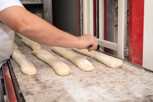 Baker preparing uncooked bread dough loaves ready to bake