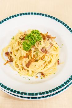 spaghetti carbonara with bacon, italian groumet cuisine