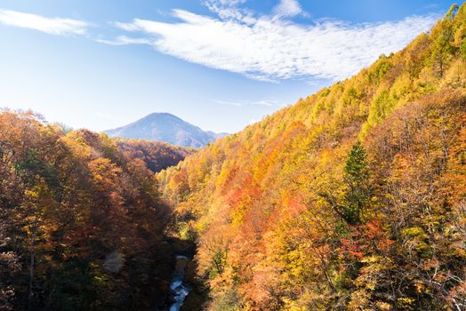 Nakatsugawa gorge from bridge at Fukushima in autumn fall Japan