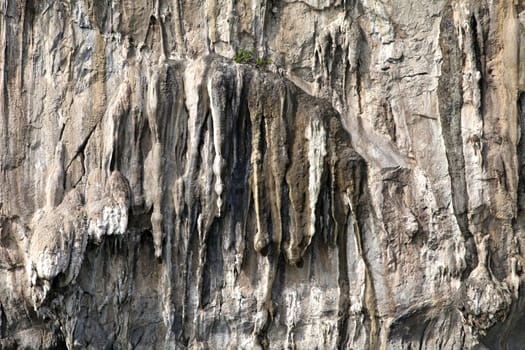 Mountain wall with trees on a sunny day