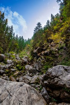 rocky hillside of mountain range with coniferous forest in Apuseni National Park in Romania