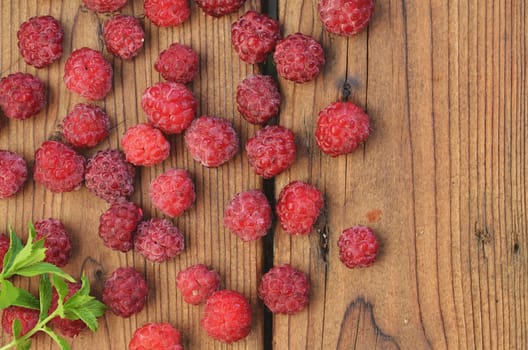 Raspberry berries are scattered on a wooden background, a sprig of mint